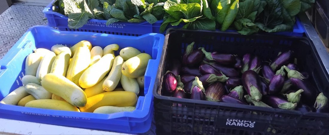 Crates of squash and eggplant from the farm