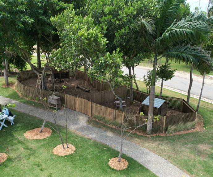 The farm garden seen from above with new trees