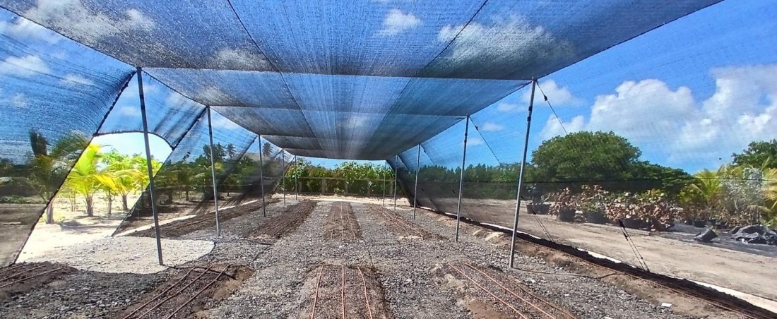 A shade house over freshly worked ground