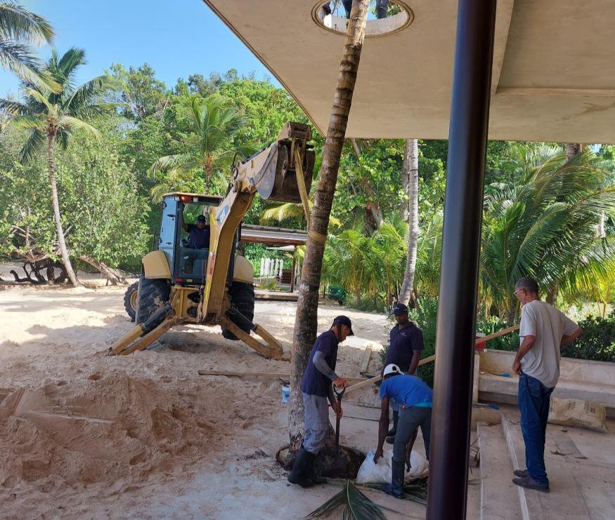 The crew working under the pavilion roof