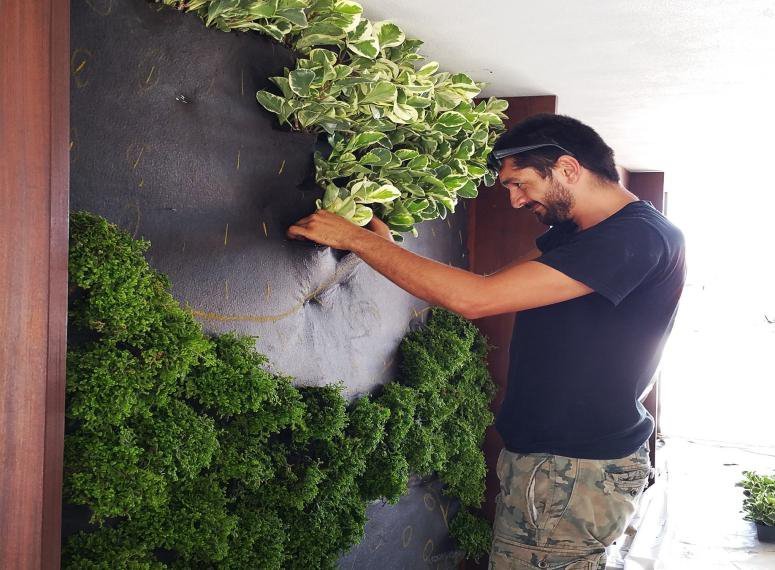 Ram planting a moss and foliage wall indoors