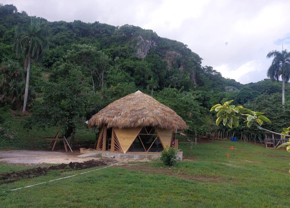 The finished thatched cabin in the clearing